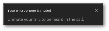 microphone muted window
